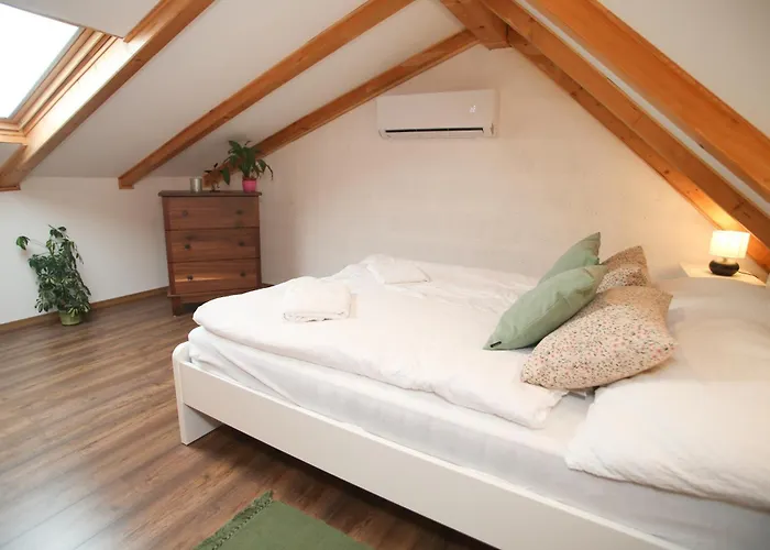 Rozsa Vendeghaz * Polány